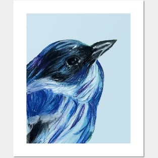 Beautiful blue bird Posters and Art